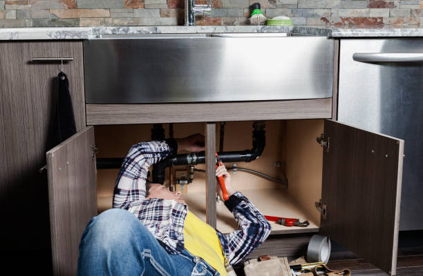 Best Affordable Plumbing Services  in Thonotosassa, FL