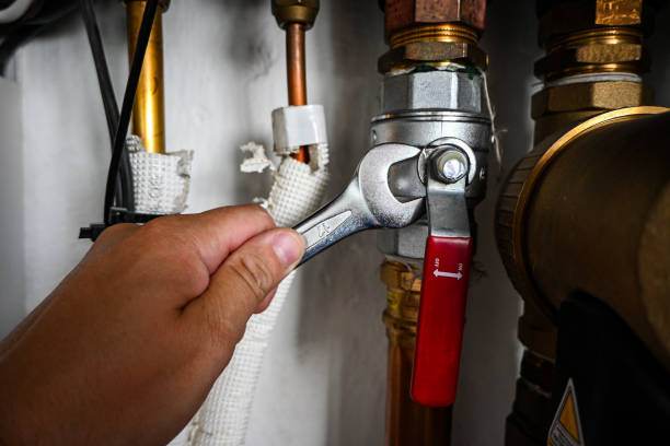 Best Best Plumbers Near Me  in Thonotosassa, FL